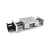 Z- axis Linear Stage Stroke 200mm - 250 mm lead screw 5mm SBR20